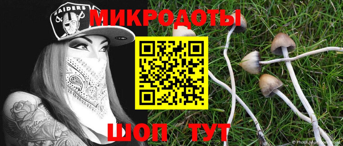 Псилоцибиновые грибы мицелий Новоуральск